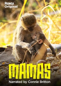 Mamas poster