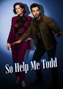 So Help Me Todd poster