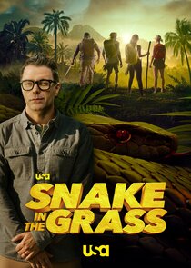 Snake in the Grass poster