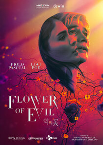 Flower of Evil poster