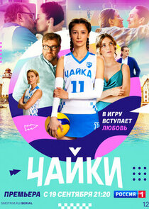 Чайки poster
