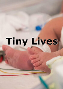 Tiny Lives poster