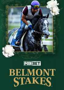 Belmont Stakes poster