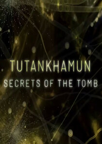 Tutankhamun: Secrets of the Tomb poster