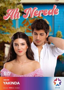 Ah Nerede poster