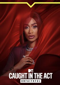 Caught in the Act: Unfaithful poster