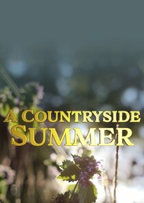 A Countryside Summer poster