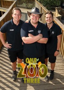One Zoo Three poster