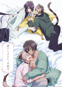 Mori no Kuma-san, Toumin-chuu. poster