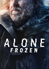 Alone: Frozen poster
