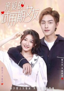 Dear Probationary Girlfriend poster