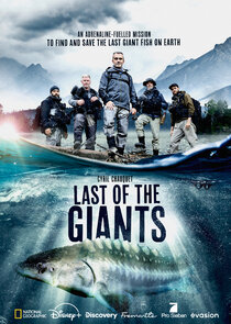 Last of the Giants: Wild Fish poster