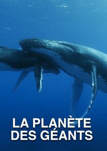 La planète des Géants poster