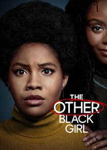 The Other Black Girl poster