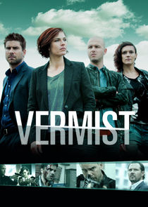 Vermist poster