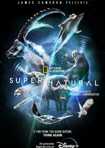 Super/Natural poster