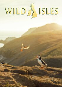 Wild Isles poster