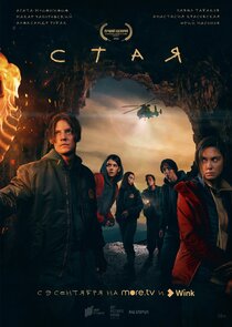 Стая poster