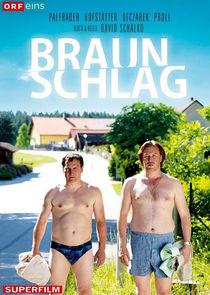 Braunschlag poster