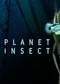 Planet Insect poster