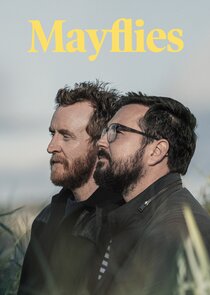 Mayflies poster