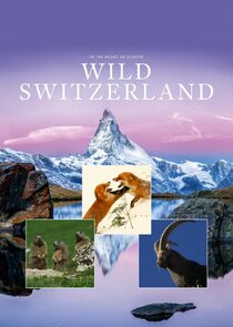 Wild Switzerland poster