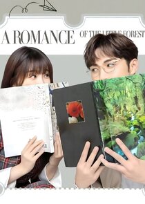 A Romance of the Little Forest poster