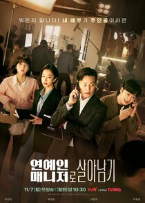 Call My Agent! poster