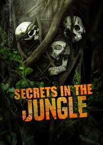 Secrets in the Jungle poster