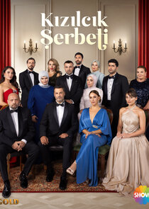Kızılcık Şerbeti poster
