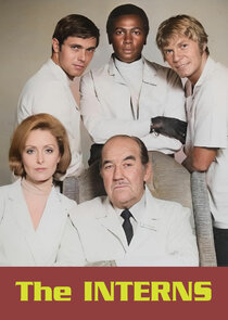 The Interns poster