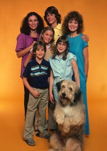 A New Kind of Family poster