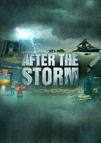 After the Storm poster
