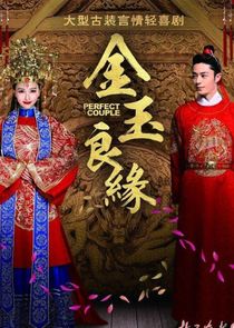 Perfect Couple poster
