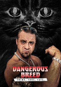Dangerous Breed: Crime. Cons. Cats. poster
