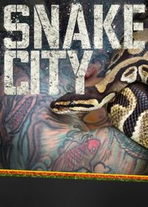 Snake City poster