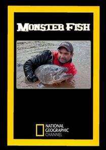 Monster Fish poster