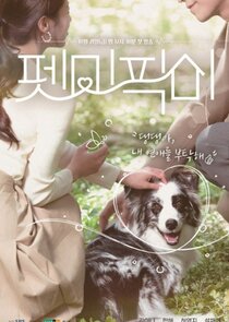 Pet Me Pick Me poster