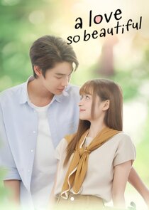 A Love So Beautiful poster