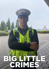 Big Little Crimes poster