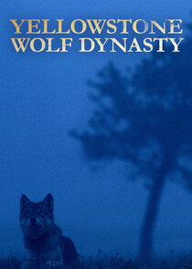 Yellowstone Wolf Dynasty poster