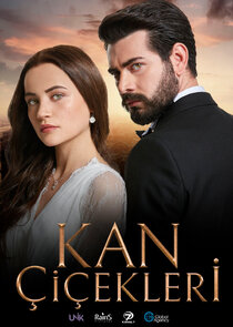 Kan Çiçekleri poster