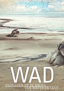 Living on the Edge: The Wadden Sea poster