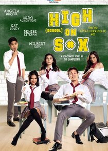 High (School) On Sex poster