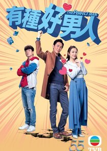 The Perfect Man poster