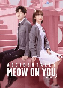 Accidentally Meow on You poster