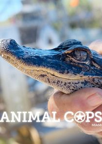 Animal Cops: Miami poster