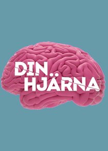 Din Hjärna poster