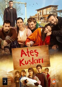 Ateş Kuşları poster