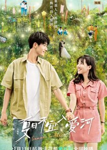 Summer in Love poster